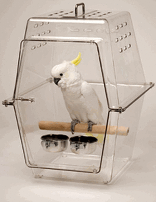  How to buy travel cage for birds?